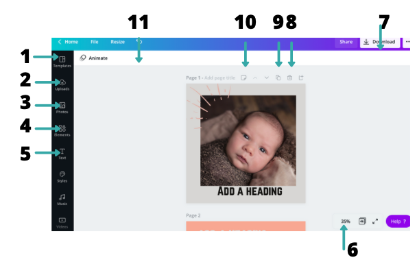 Canva Dashboard Overview