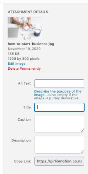 How to update Alt tag and title tag